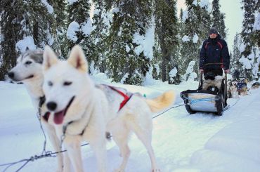 Oulanka National Park